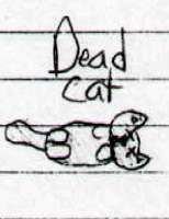 dead cat